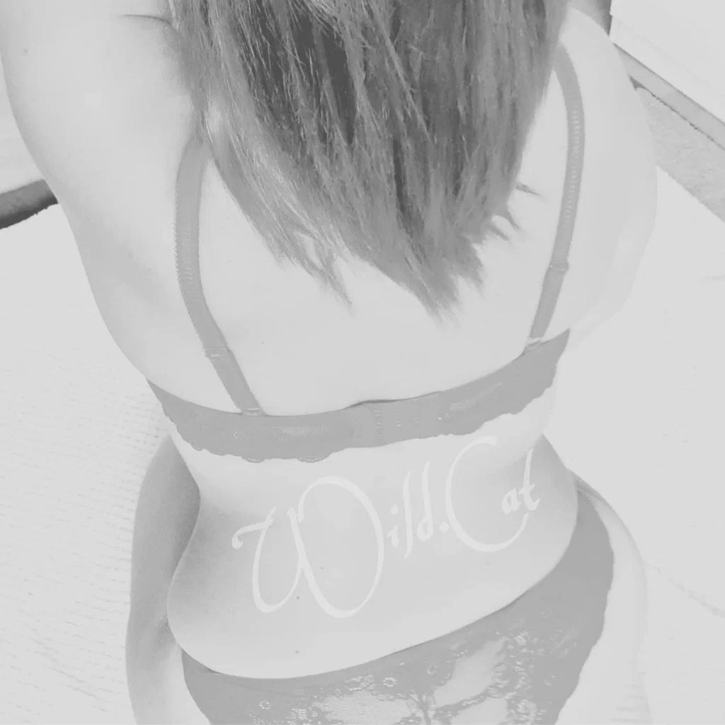 ❤️‍🔥 𝑾𝒊𝒍𝒅𝑪𝒂𝒕 𝑭𝒓𝒆𝒆 🍀