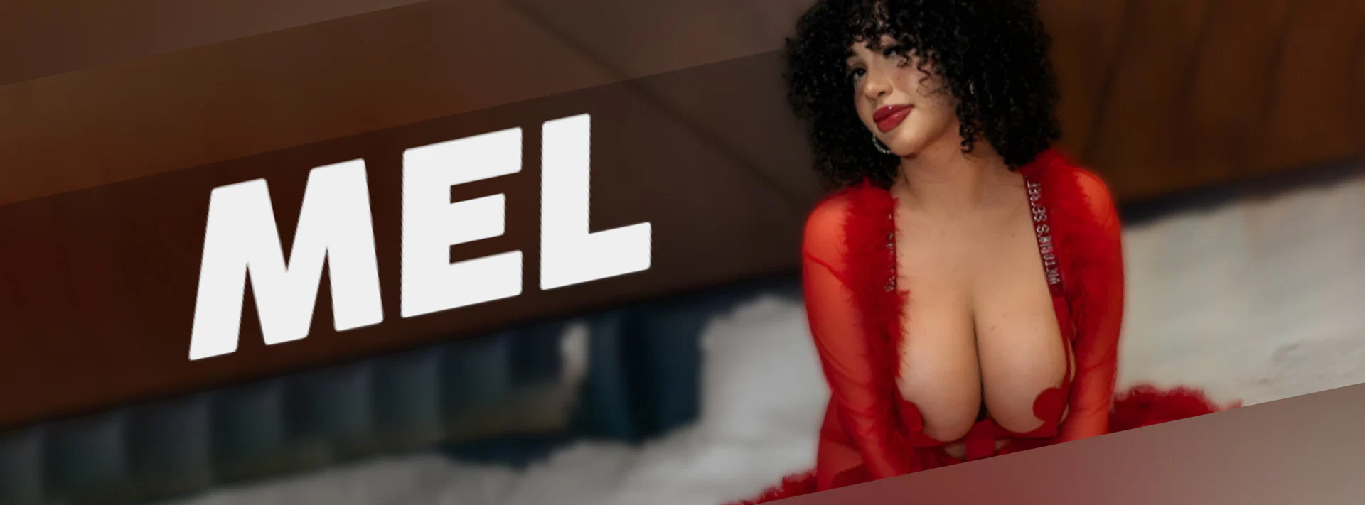 meldadel profile banner