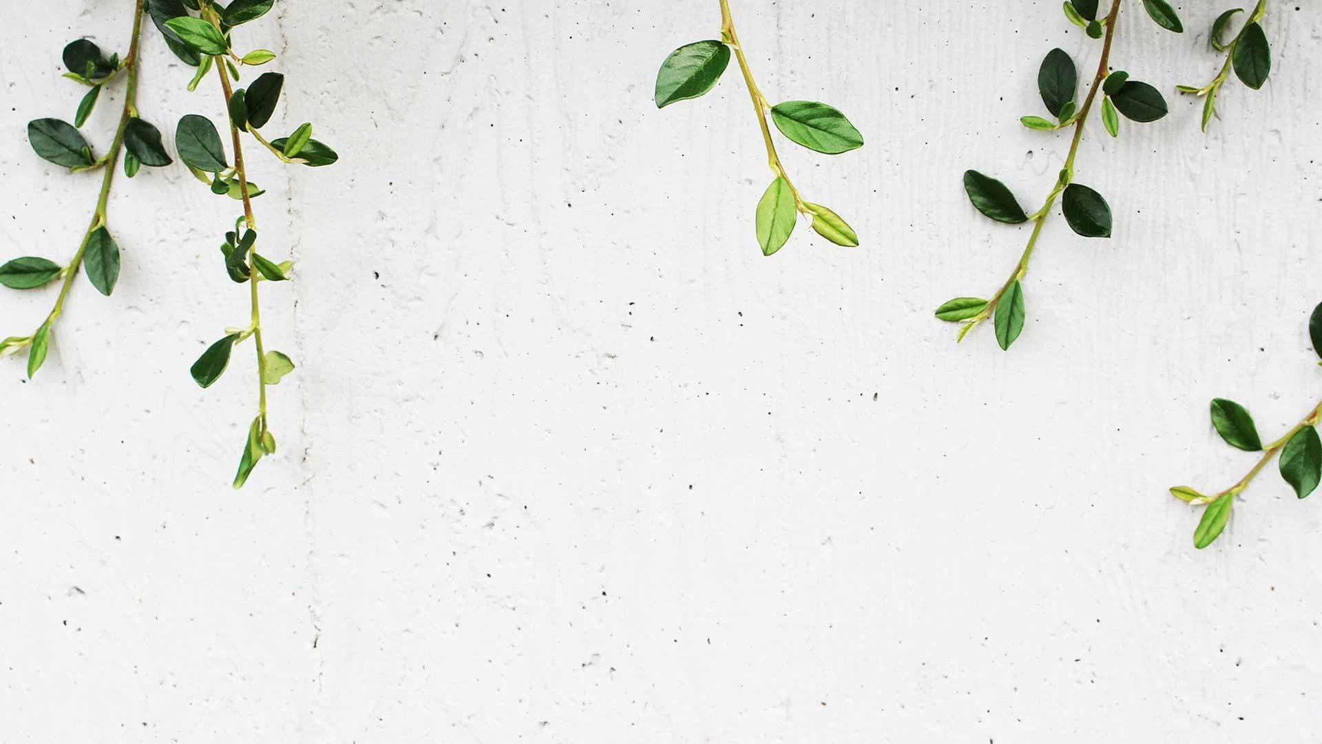 xGetDead profile banner