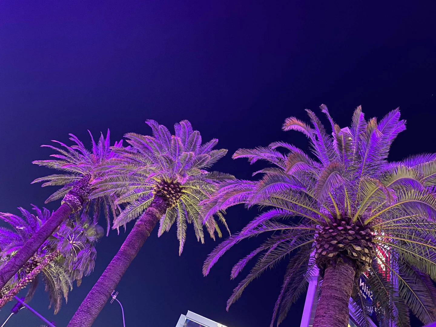 TsPari$!* profile banner