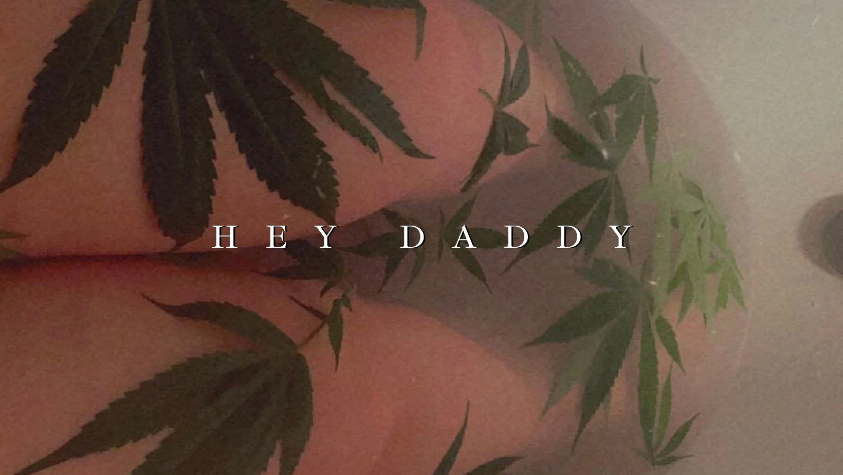 royalhighness profile banner