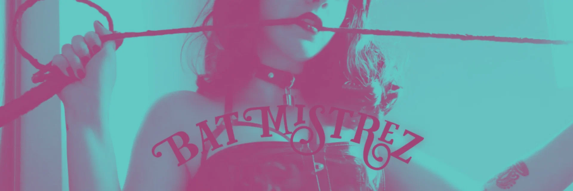 BatMistrez profile banner