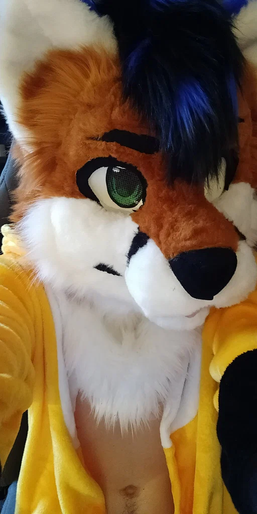 NoctaFox