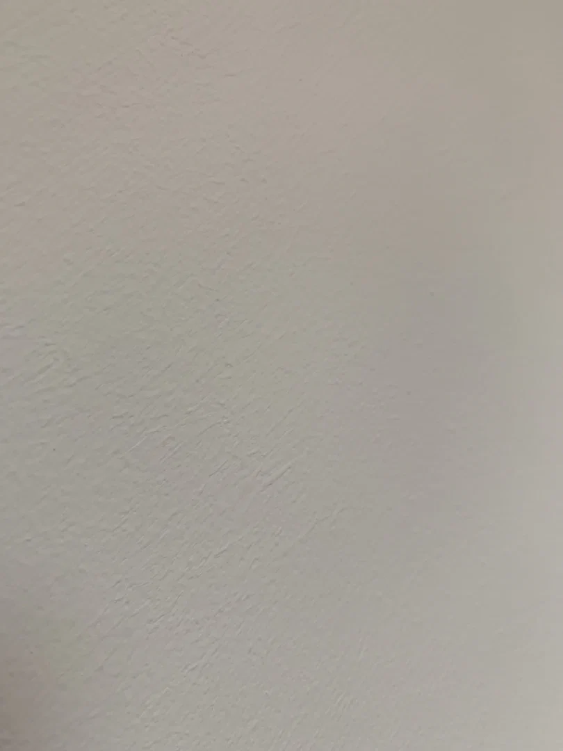 Stella profile banner