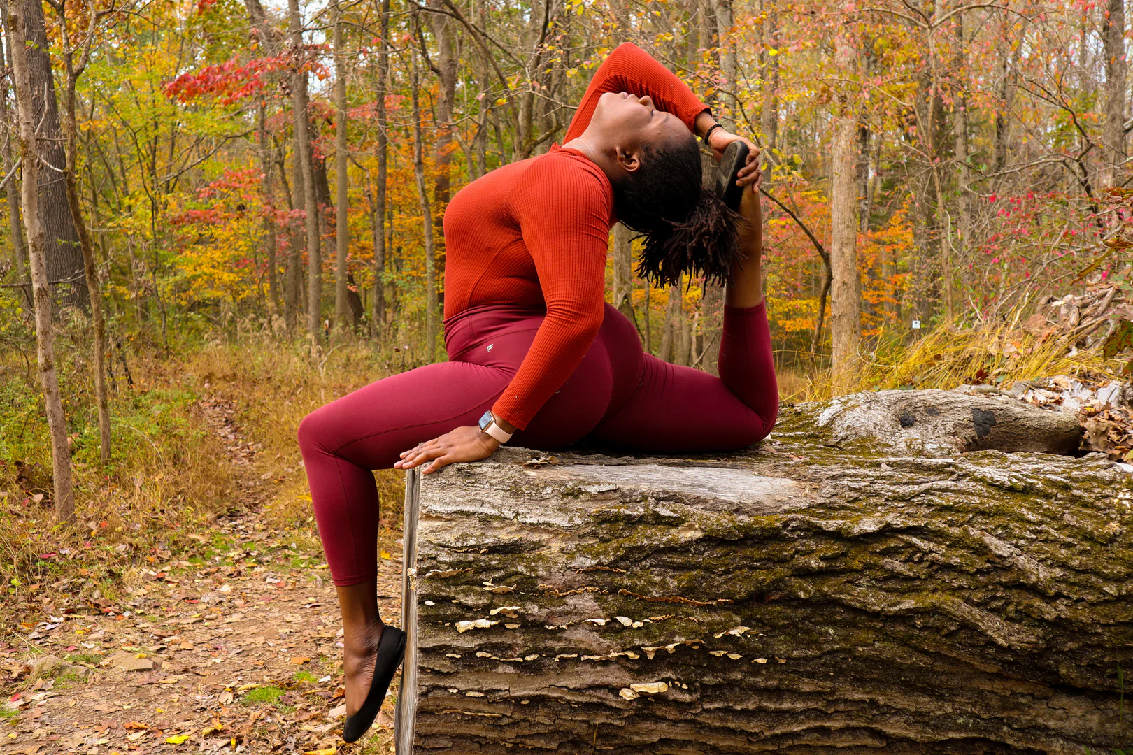 Bella profile banner