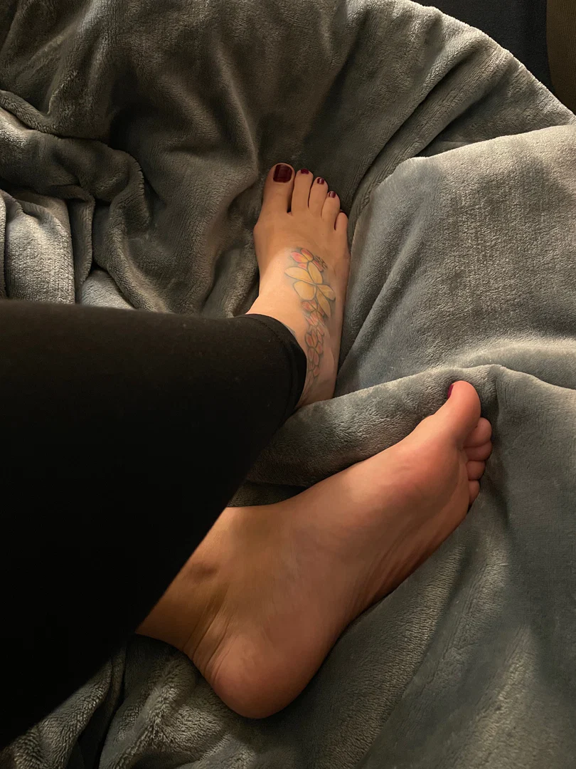 Barefoot Bunny profile banner
