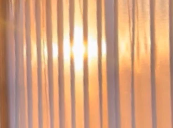 Dario Fuego profile banner