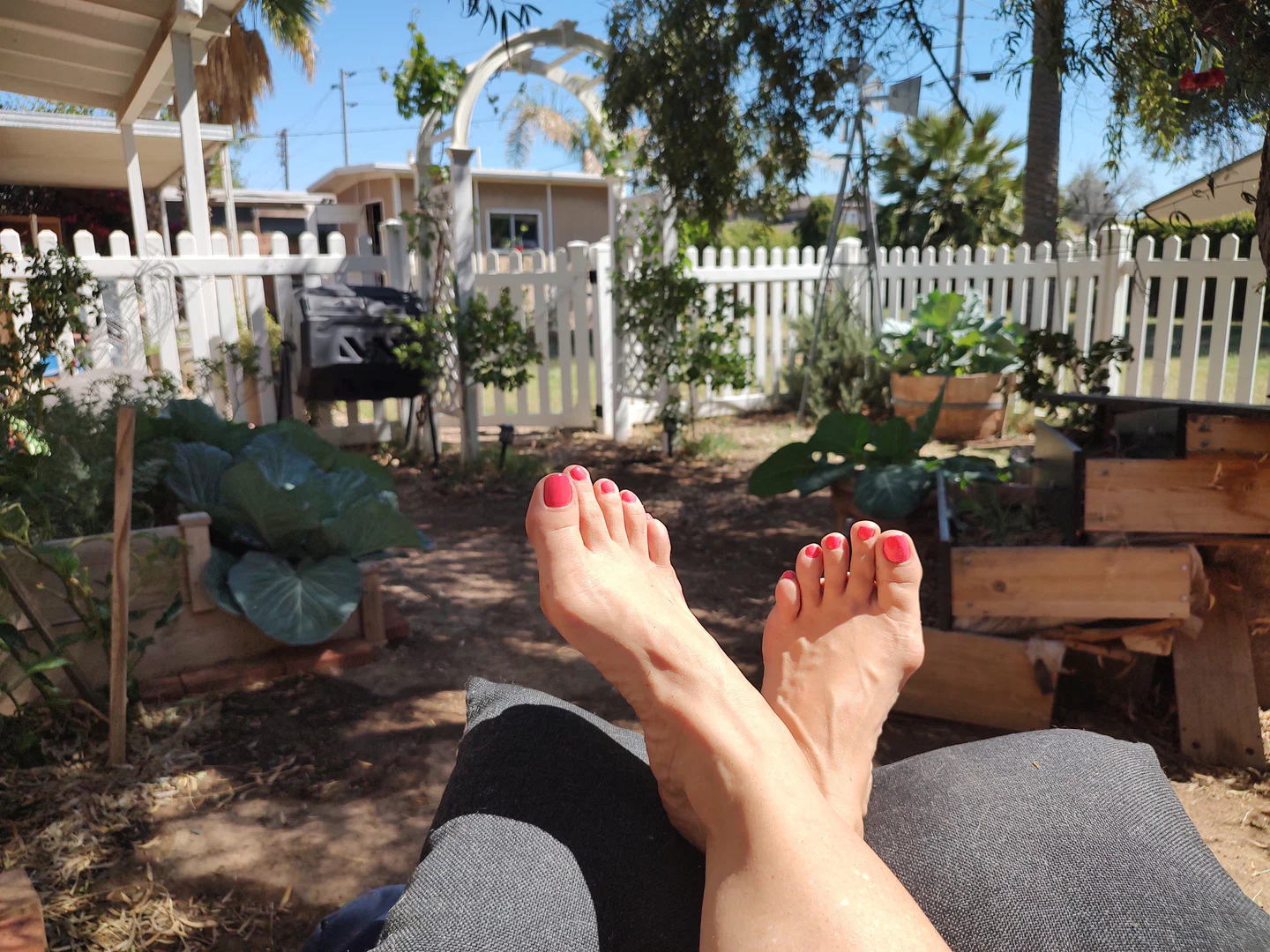 Booty and Bunions profile banner