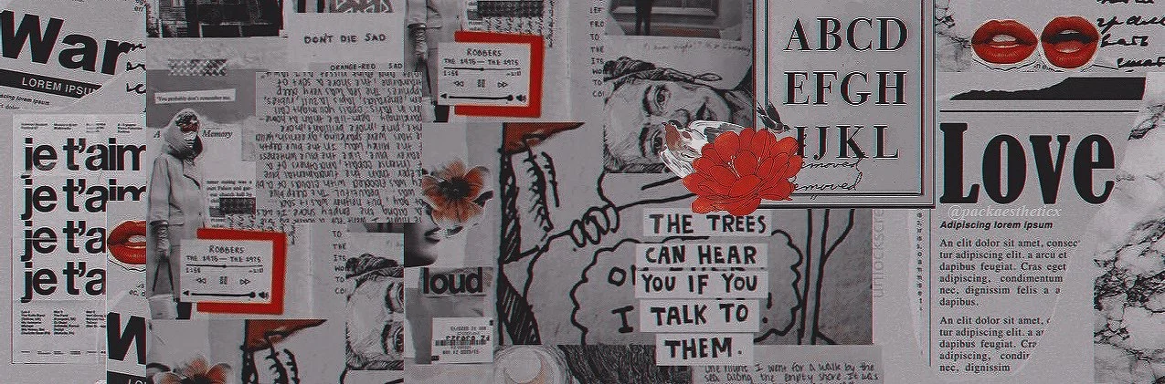 abbi fisher profile banner