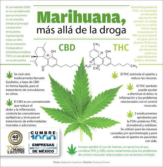 miguel martinez ochoa profile banner