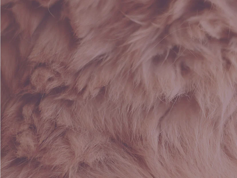 Bea222 profile banner