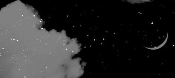 Bella Moon profile banner