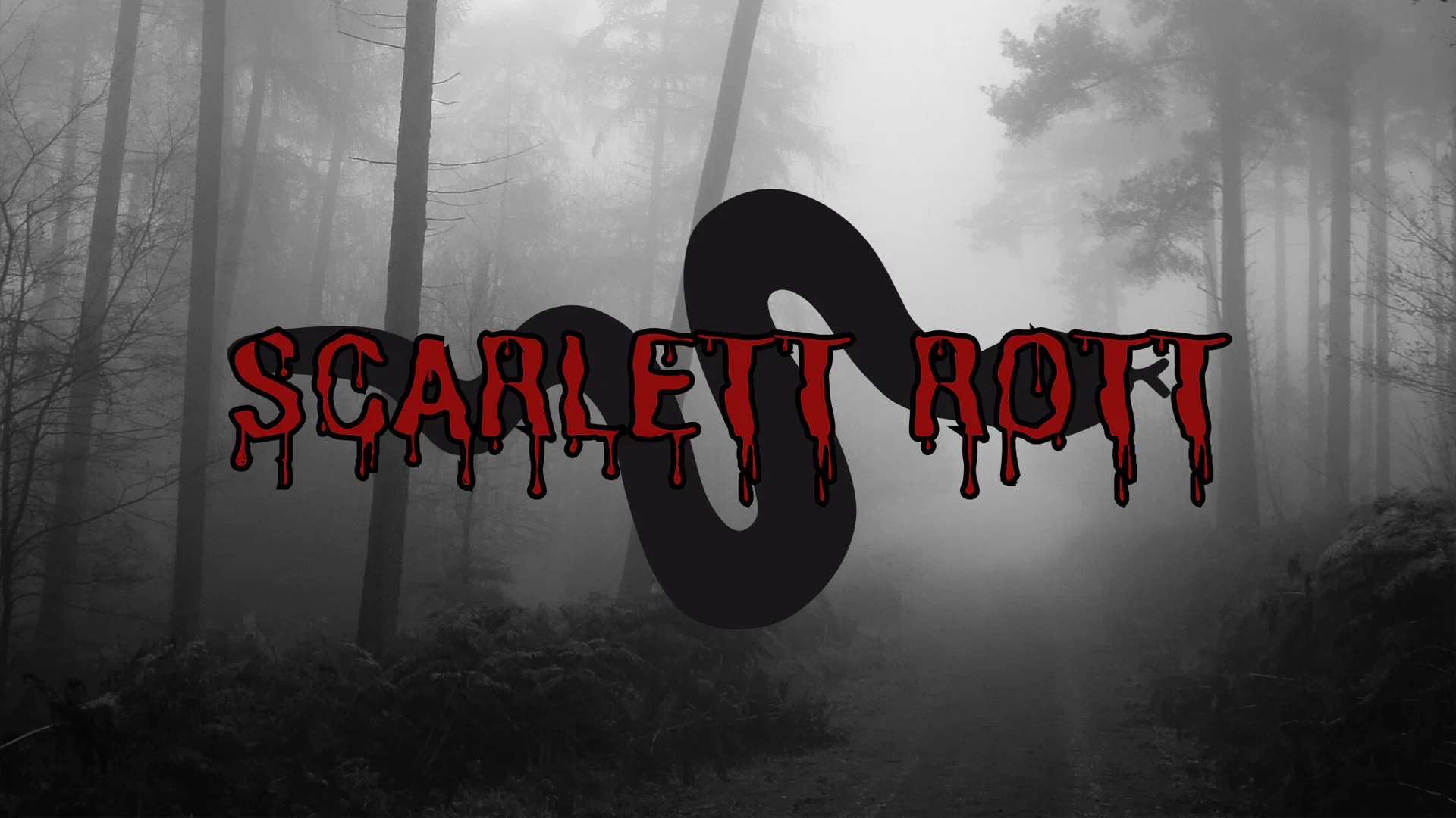 Scarlett Rott profile banner