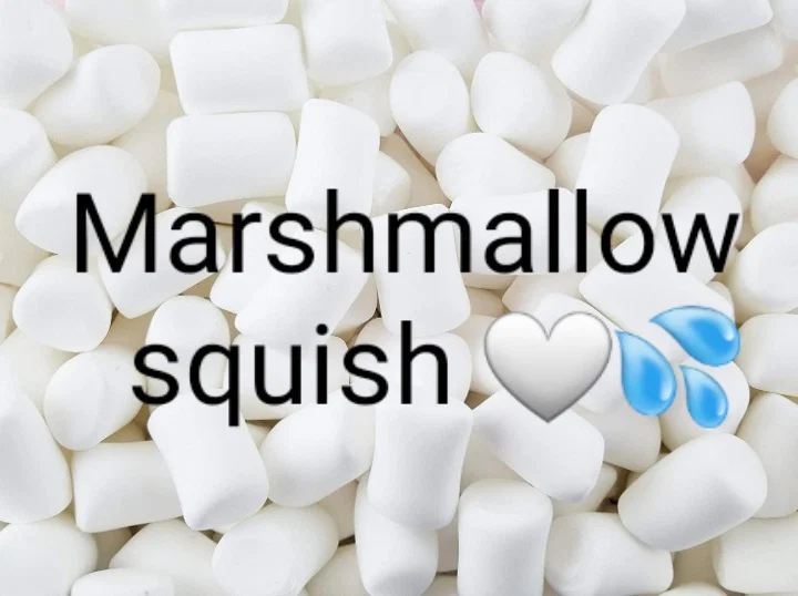 Marshmallow Squish🤍💦 profile banner