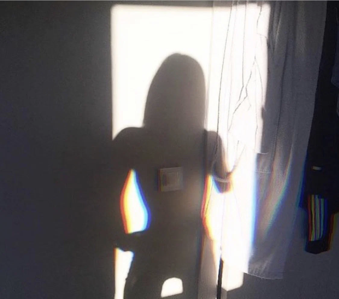 Honey bunny profile banner