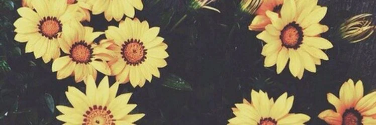 😈Denisse😈 profile banner