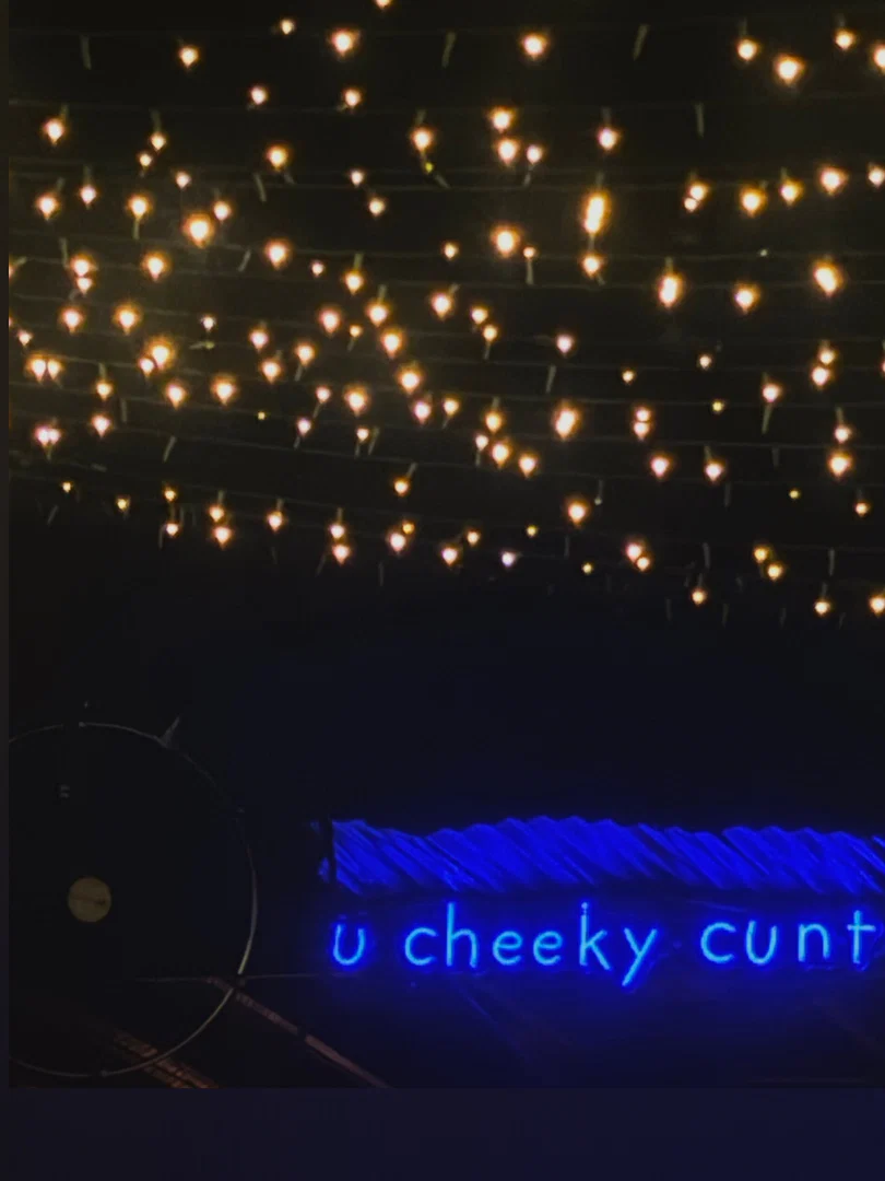 ⊹₊⋆ ✮ ⋆₊ ⊹ profile banner