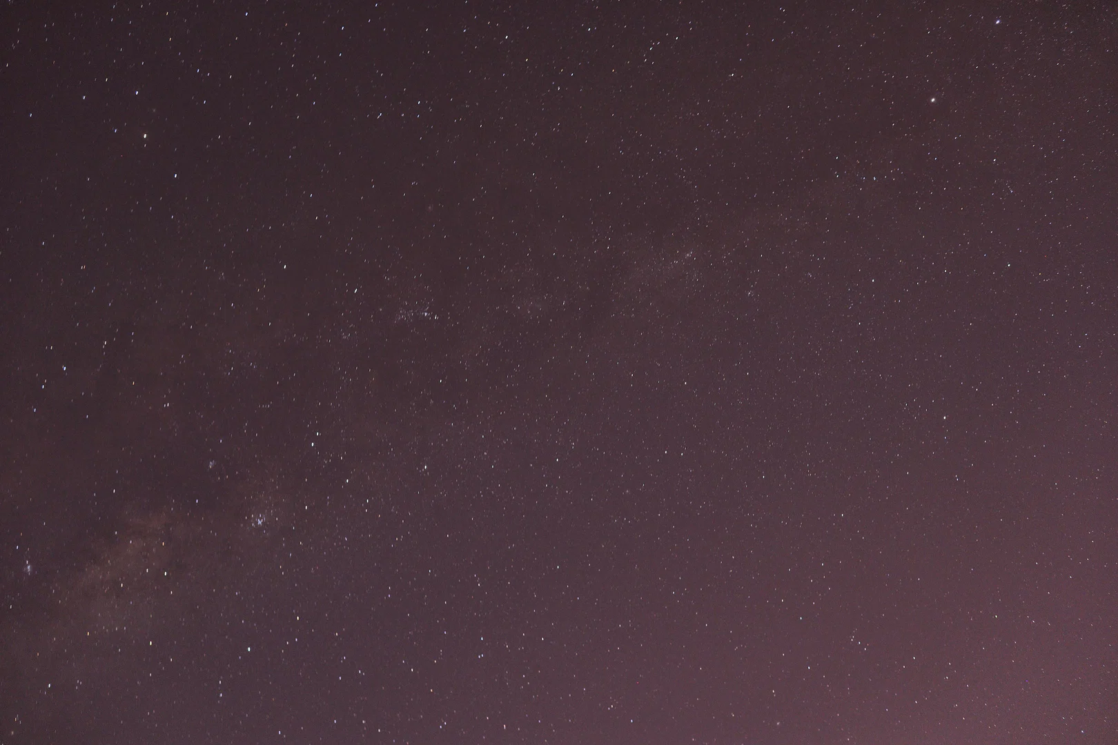 L profile banner