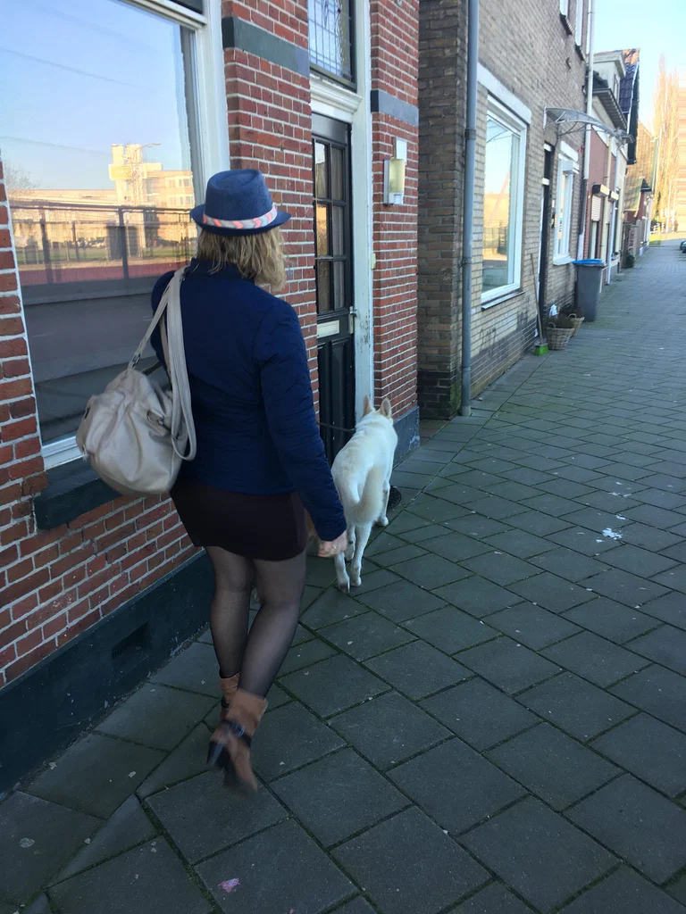 DutchwithCurves