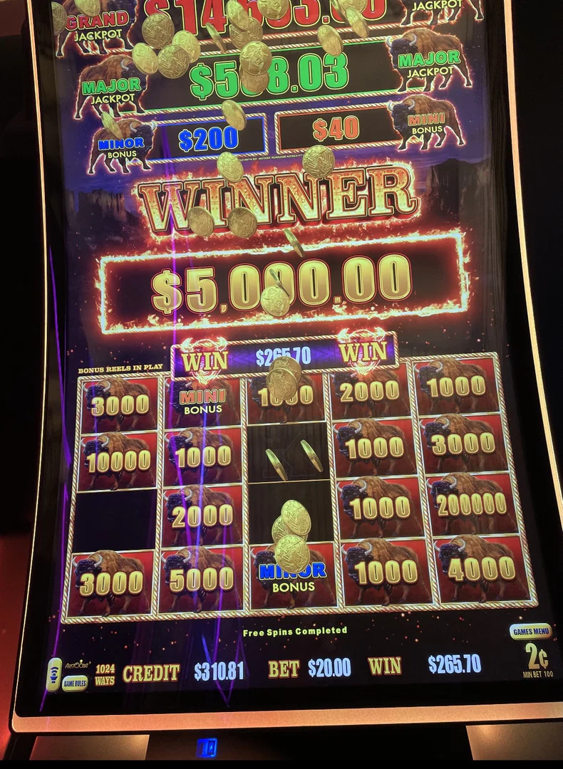Your Gambling Cali Girl profile banner