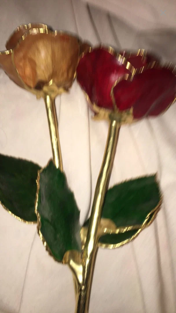 Latina Bbw profile banner