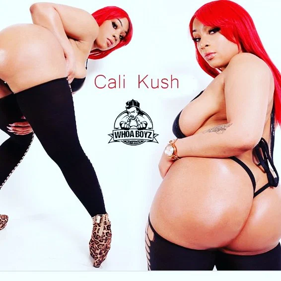 Calikushxxx's avatar