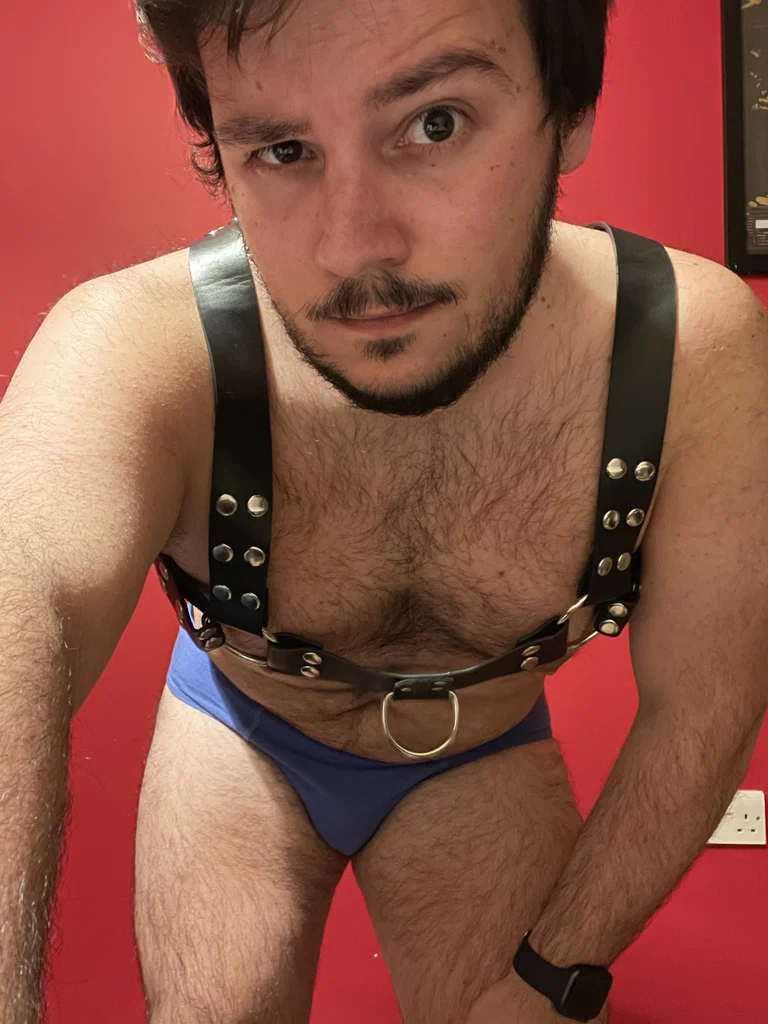 Teddy bear Lx's avatar