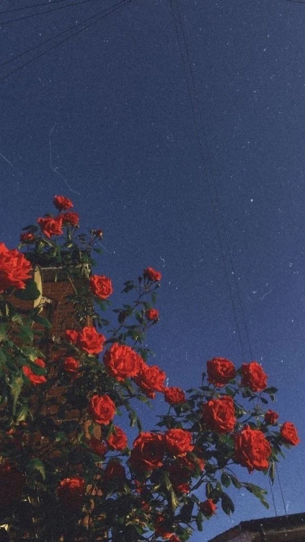 Kai Masonix profile banner
