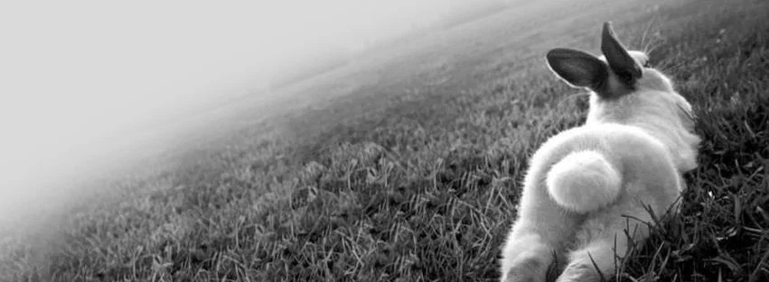 puckbunnyy profile banner