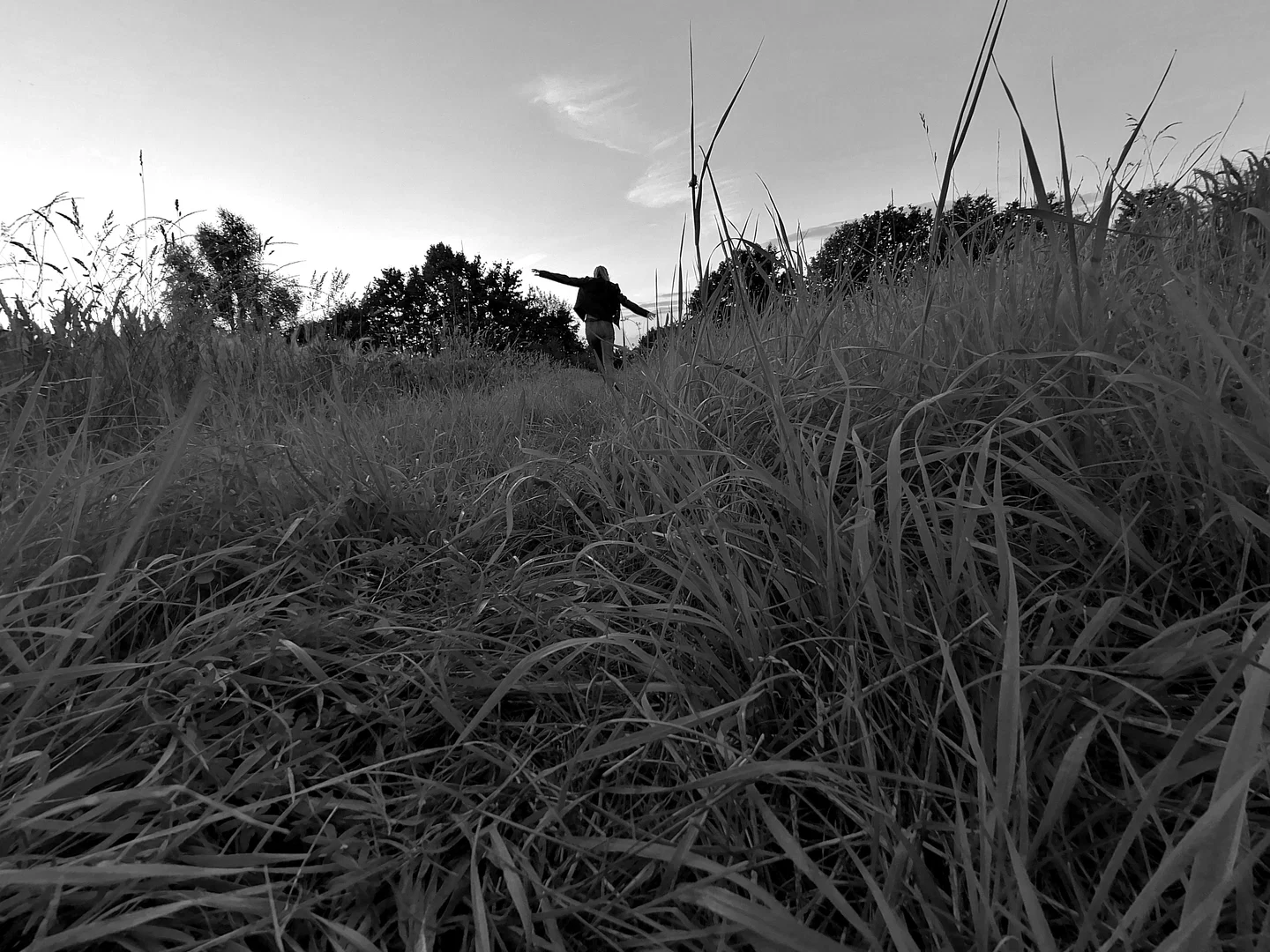 Dani.Sunshine1909 profile banner