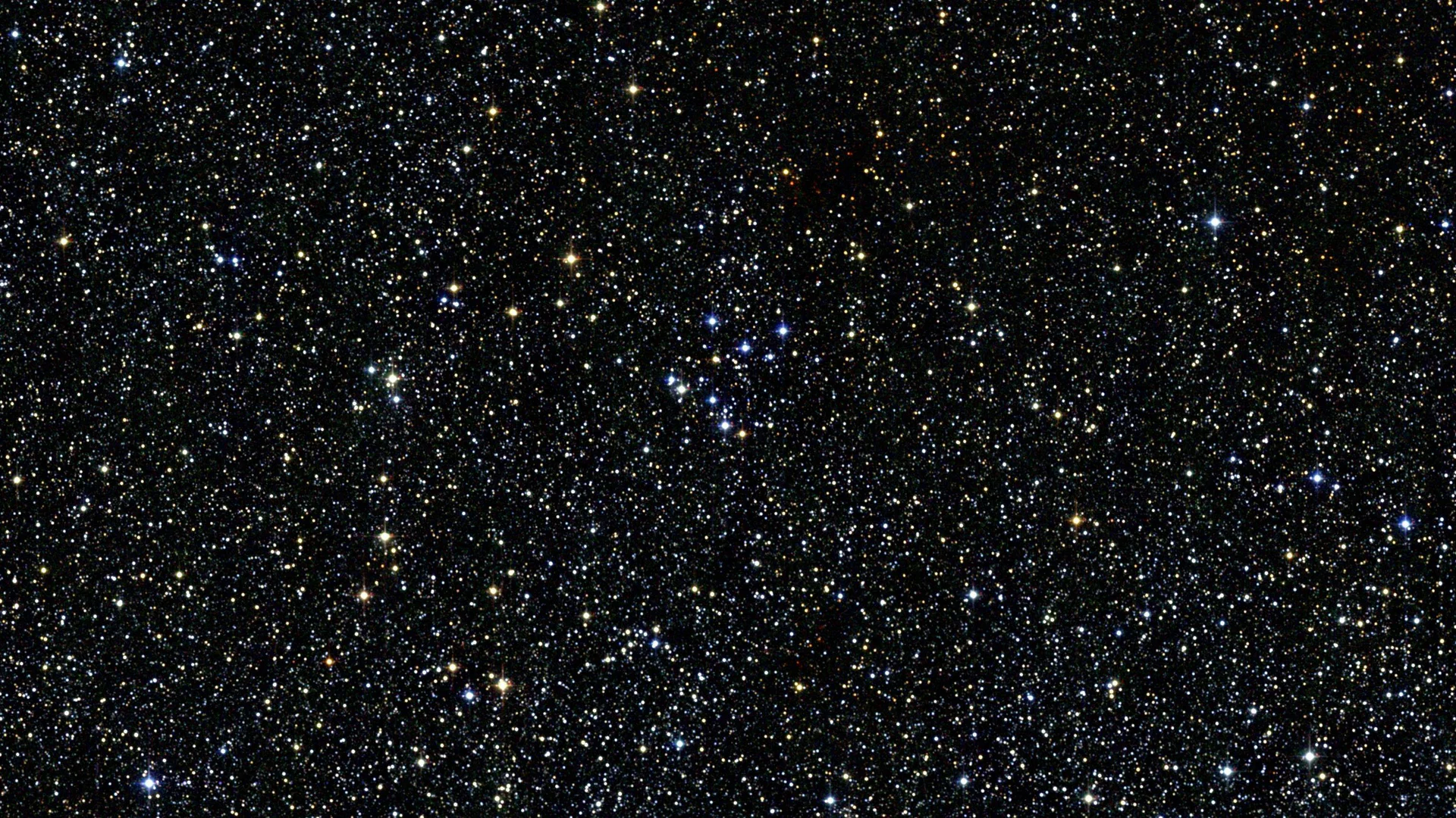 D2 profile banner