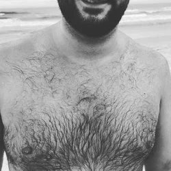 Ursão Floripa's avatar