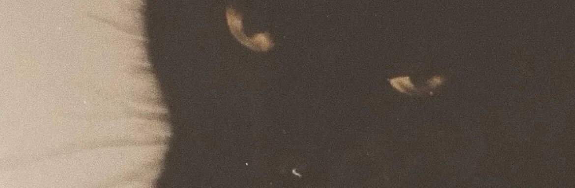 JESS π¦ profile banner