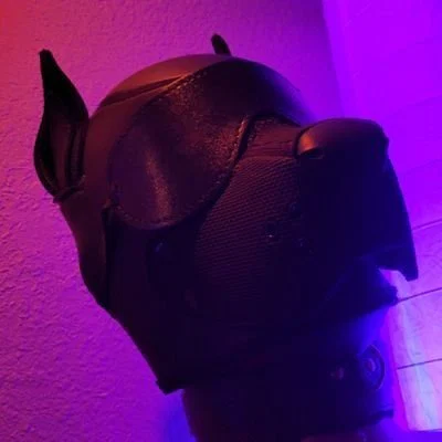 OneStretchyPup's avatar