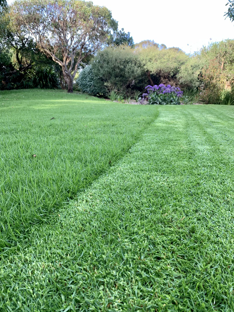 Only Lawns profile banner
