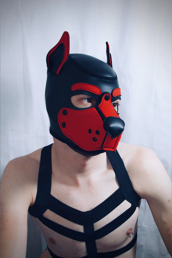 PupJako's avatar