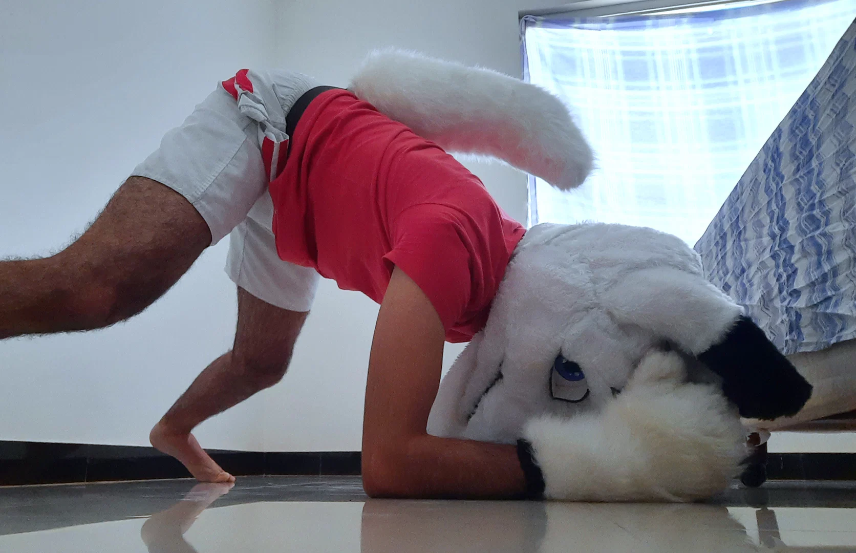 DobyWolf profile banner