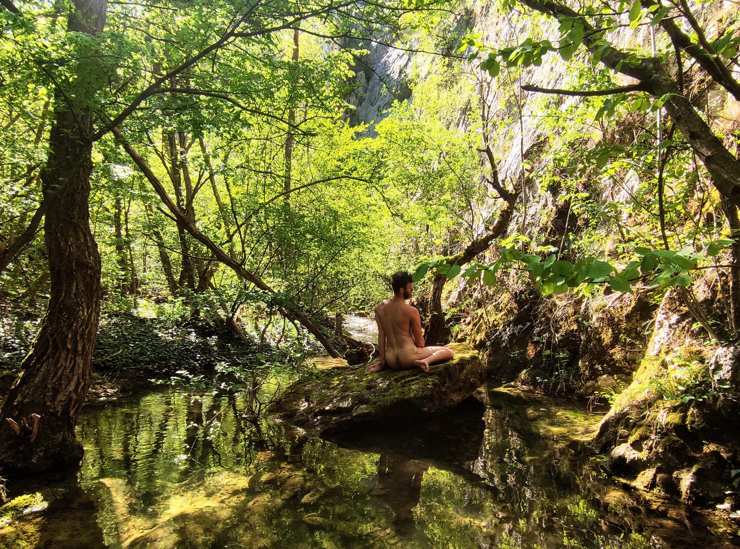 Nude Druid profile banner