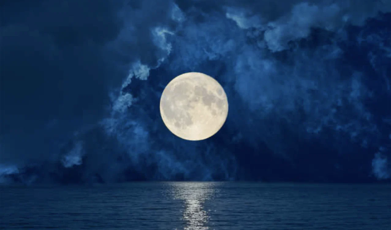 Ali Moon profile banner