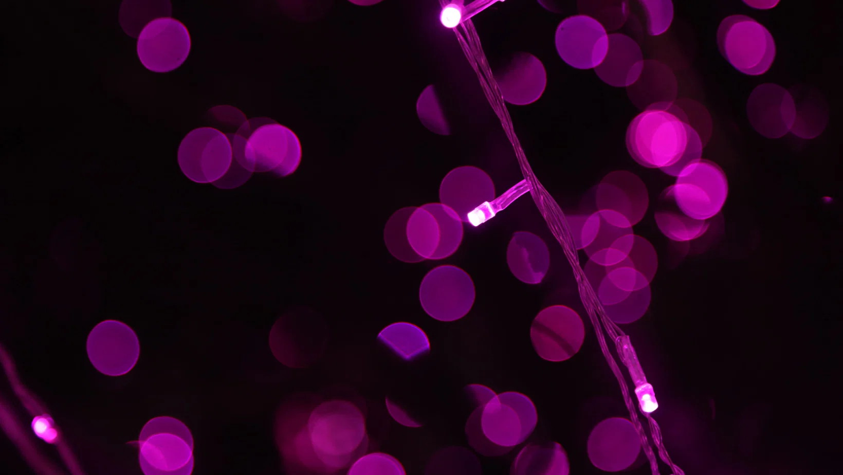 Indecent Scamp profile banner