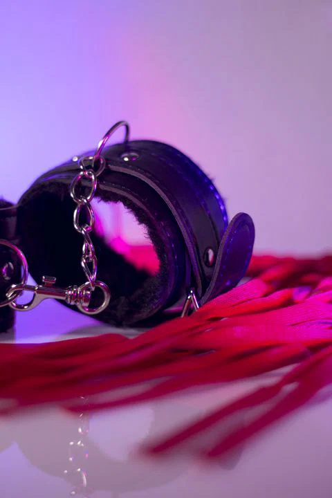 SadoGirl profile banner