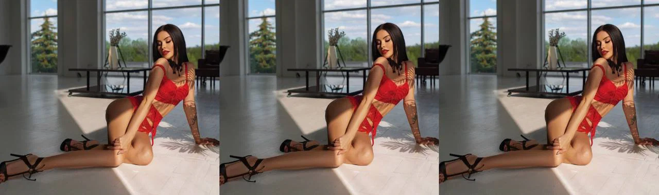 Sasha Colibri profile banner