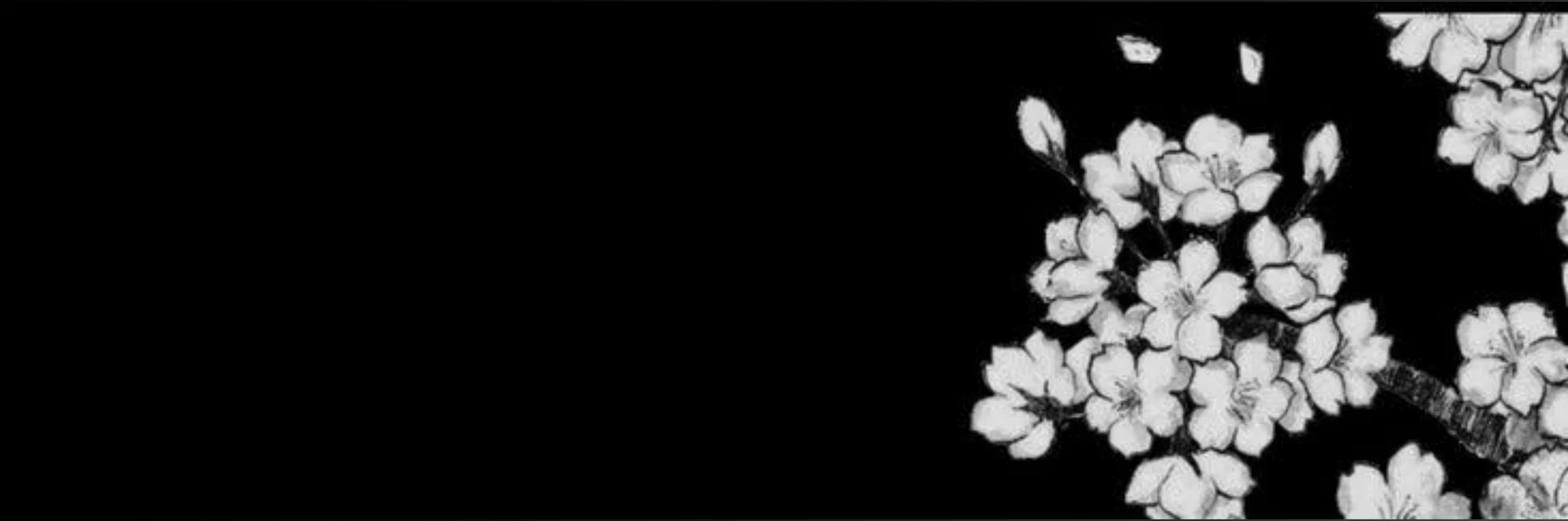 Paco profile banner