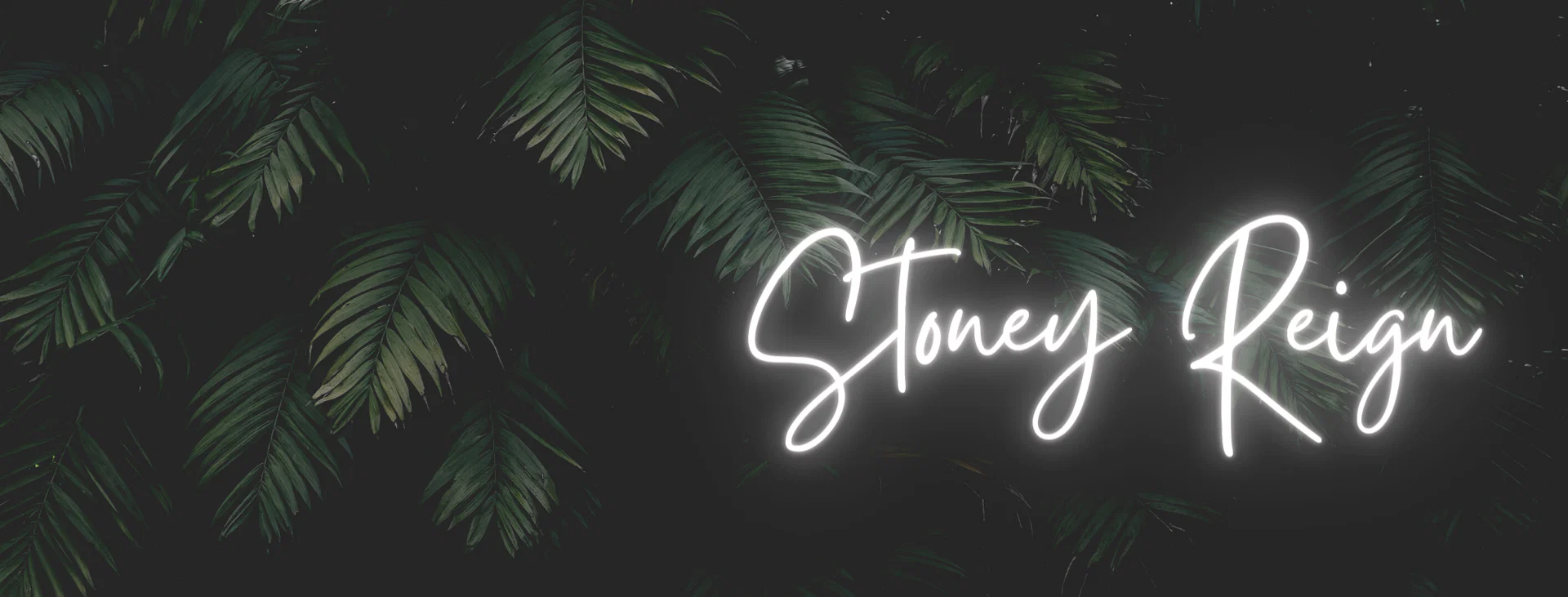 Stoney profile banner