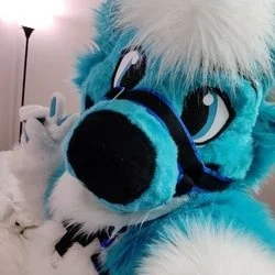 Fizzy potato Husky's avatar