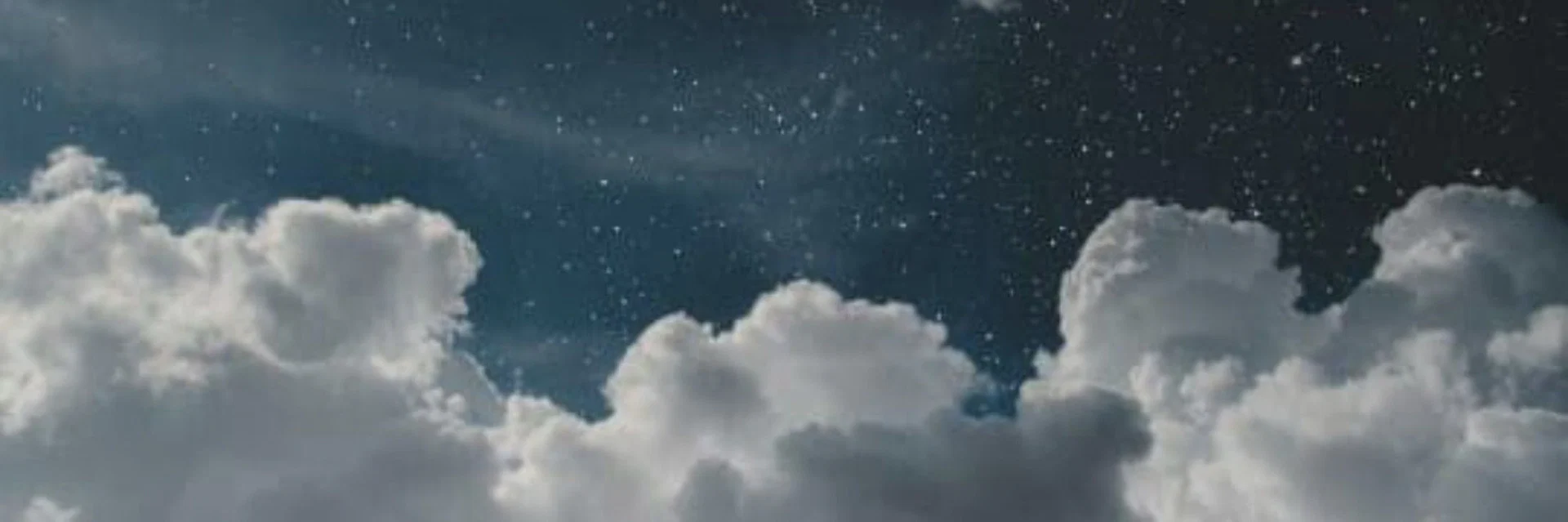 REED profile banner