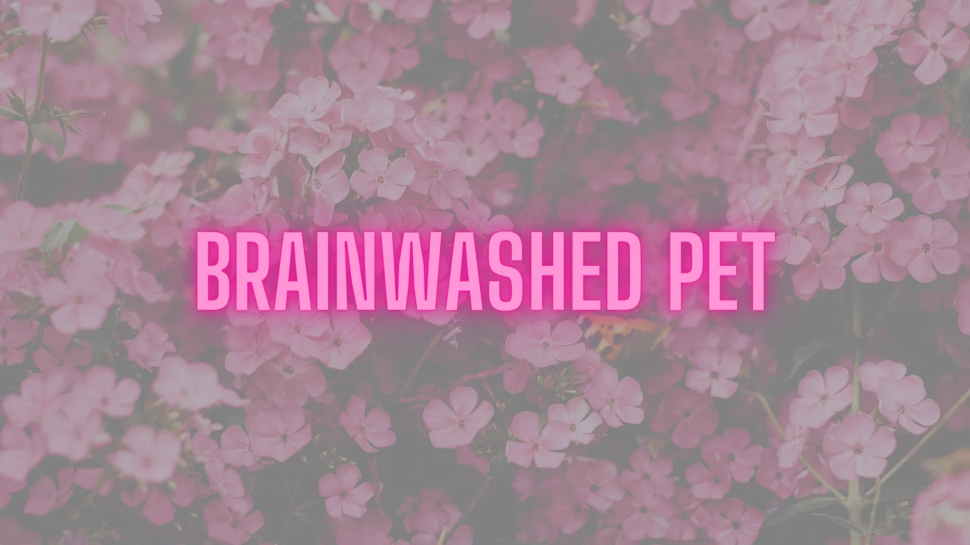 Good Girls Obey profile banner