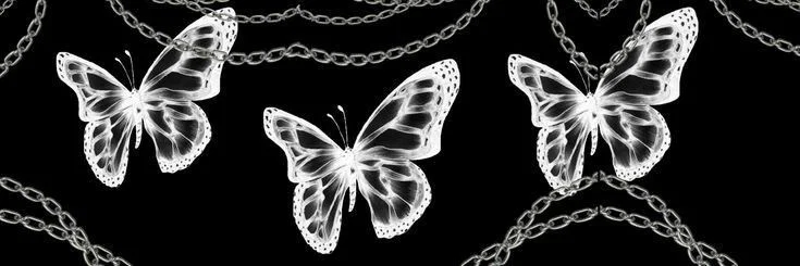 Nikki North 🖤 profile banner