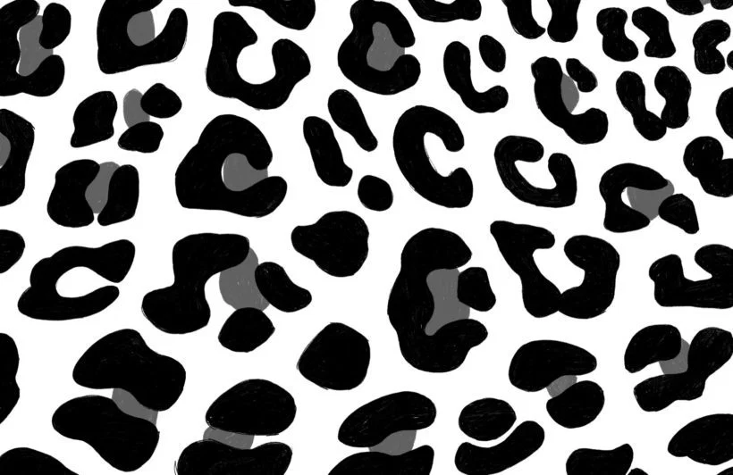 Allisonxoxo profile banner