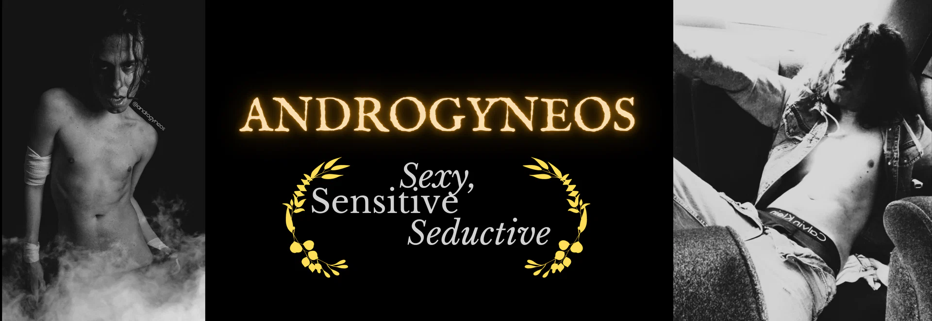 Androgyneos profile banner
